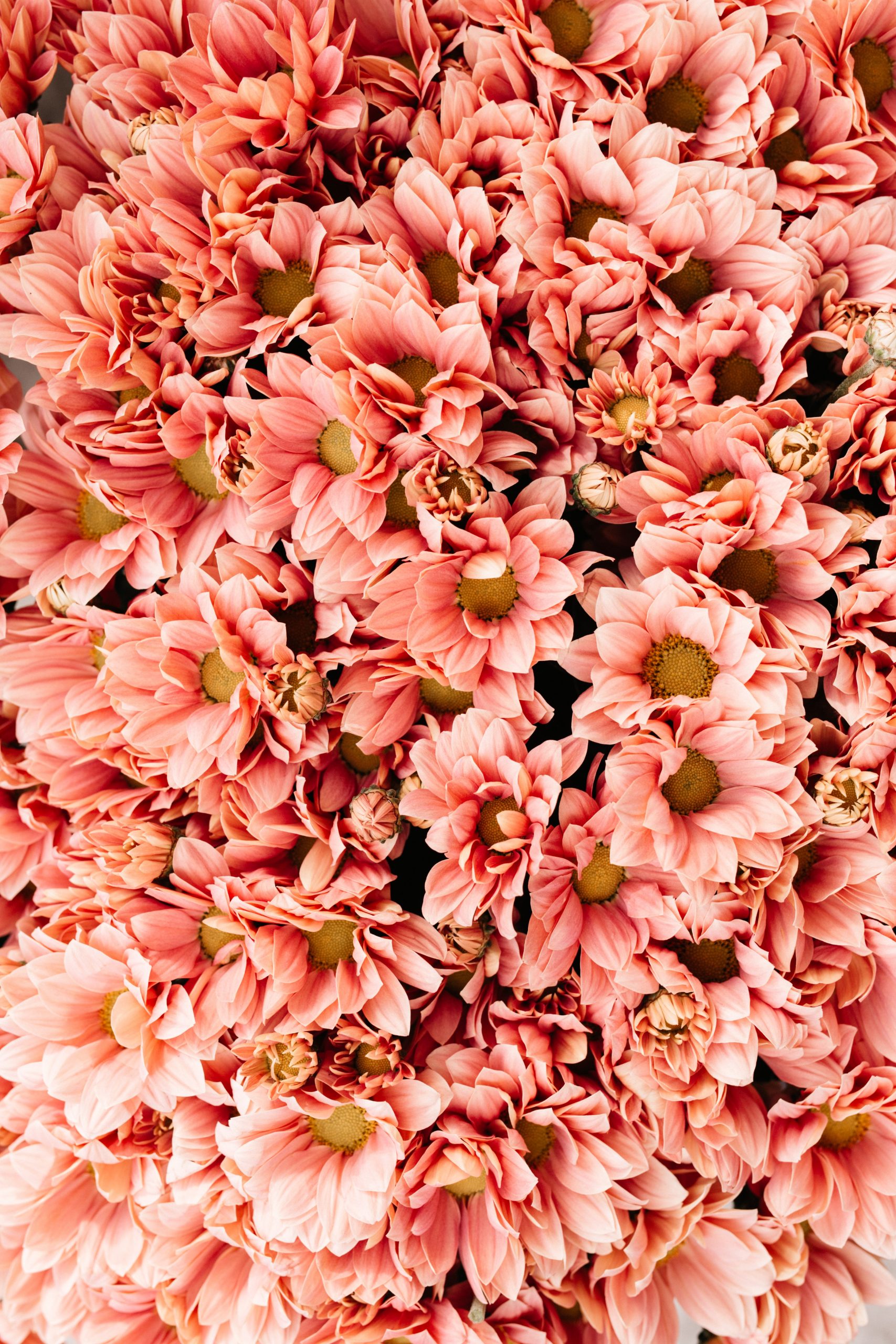 Bloemen